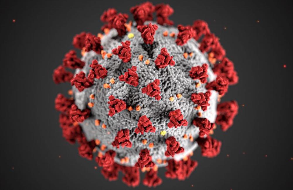 Covid 19 cell