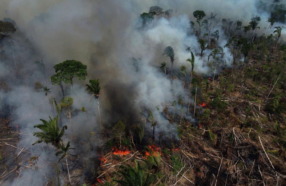 A forest fire sweeps through the Amazon rainforest