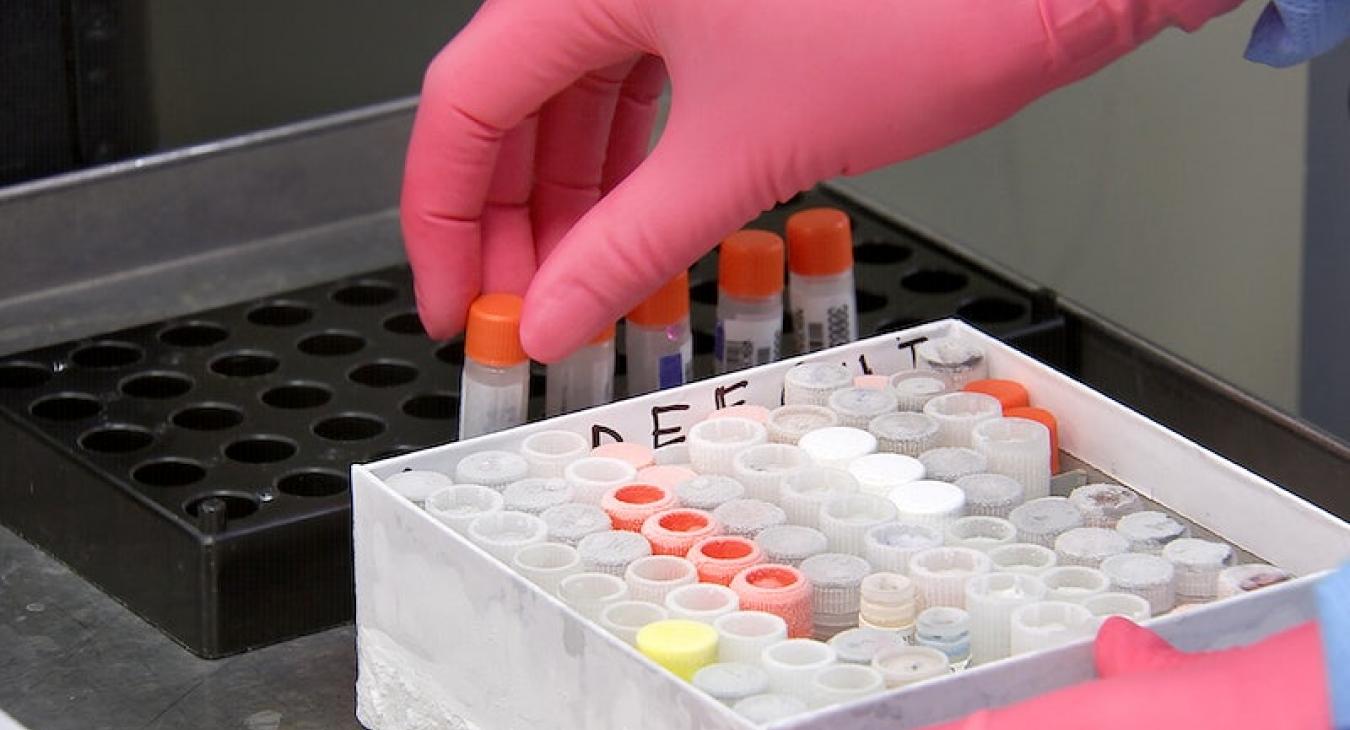 Scientist with gloves on placing blood samples into rack