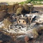 London wildfire July 2022 c Paul Wood